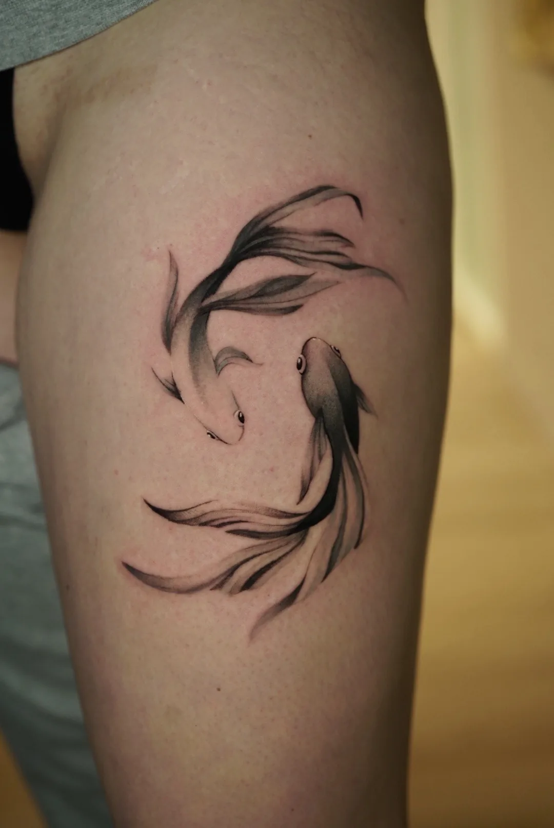 Two fish with long, flowing fins arranged in a circle.